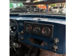 FORD - RURAL WILLYS - 1967/1967 - Azul - R$ 27.900,00